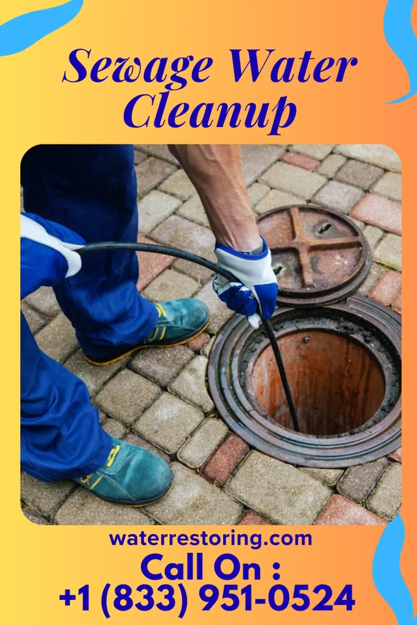 Sewage Water Cleanup in Inverness, IL